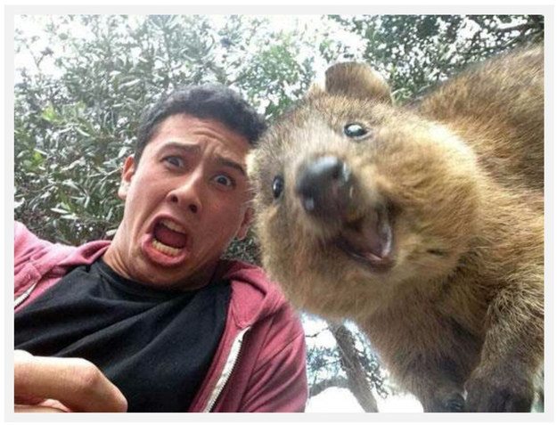 Top 10 Best Selfies of All Time - BuzzingLikes.com